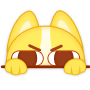 发现